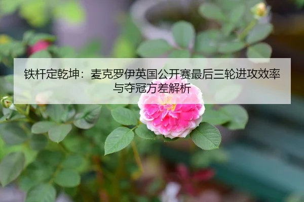 铁杆定乾坤：麦克罗伊英国公开赛最后三轮进攻效率与夺冠方差解析