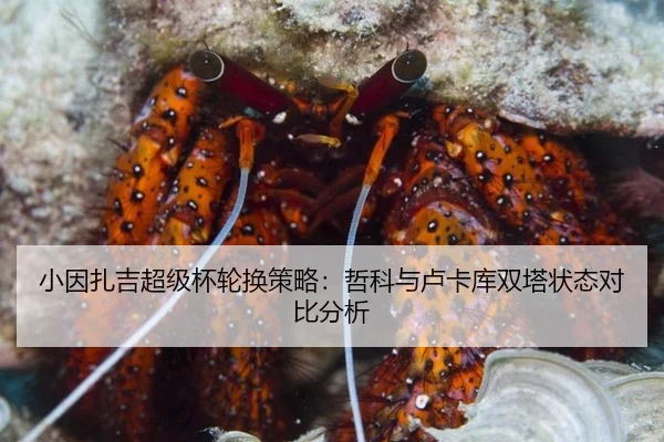 小因扎吉超级杯轮换策略：哲科与卢卡库双塔状态对比分析