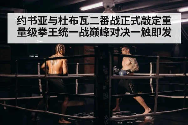 约书亚与杜布瓦二番战正式敲定重量级拳王统一战巅峰对决一触即发